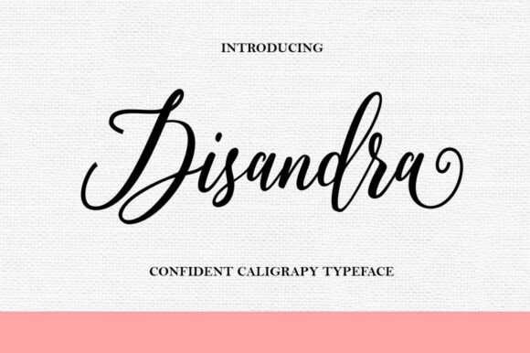 Disandra: The Elegant Script Font for Stunning Visuals
